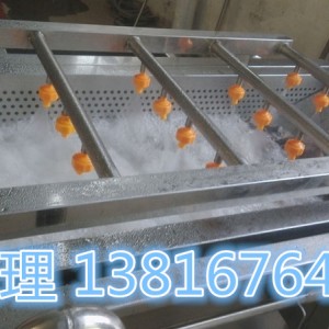 上海廠家直銷水果大棗清洗機價格優(yōu)惠
