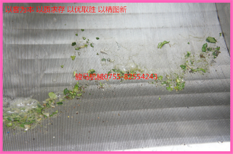 翻浪洗菜機 果蔬加工設(shè)備 洗菜機商用 果蔬洗菜機 符合衛(wèi)生標(biāo)準(zhǔn)