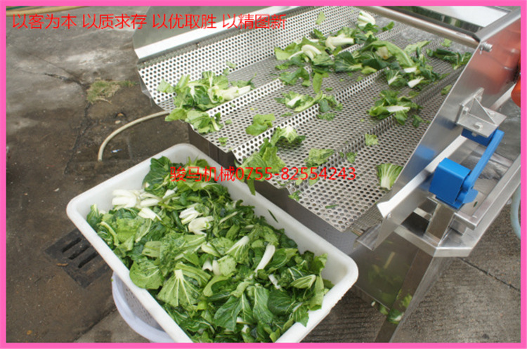 翻浪洗菜機 果蔬加工設(shè)備 洗菜機商用 果蔬洗菜機 符合衛(wèi)生標(biāo)準(zhǔn)