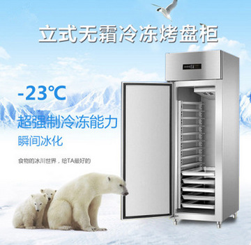 廠家直銷商用四門冰箱單溫冷凍負(fù)28度不銹鋼立式冷柜廚房無(wú)霜冰柜