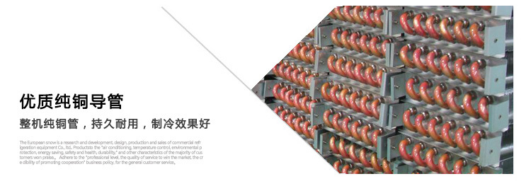 標(biāo)準(zhǔn)款六門廚房不銹鋼立柜冷凍柜 悅優(yōu)美商用冰箱冷柜冷藏陳列柜