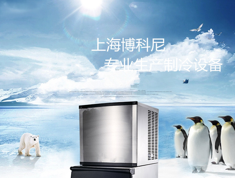 上海博科尼生產(chǎn)BKN-500B商用制冰機(jī)全國(guó)聯(lián)保制冰機(jī)奶茶店專用